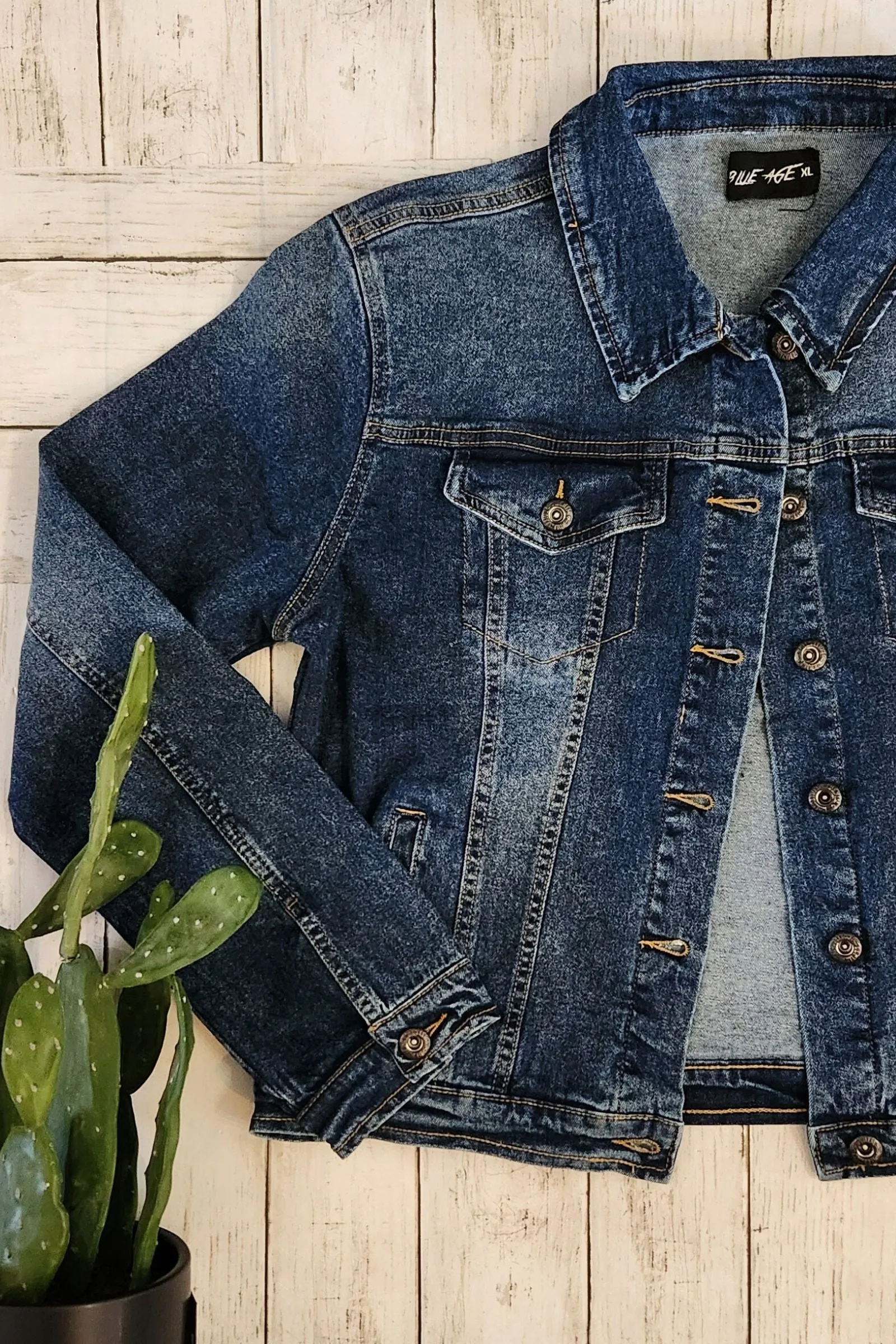 CURVY Classic Blue Denim Jacket