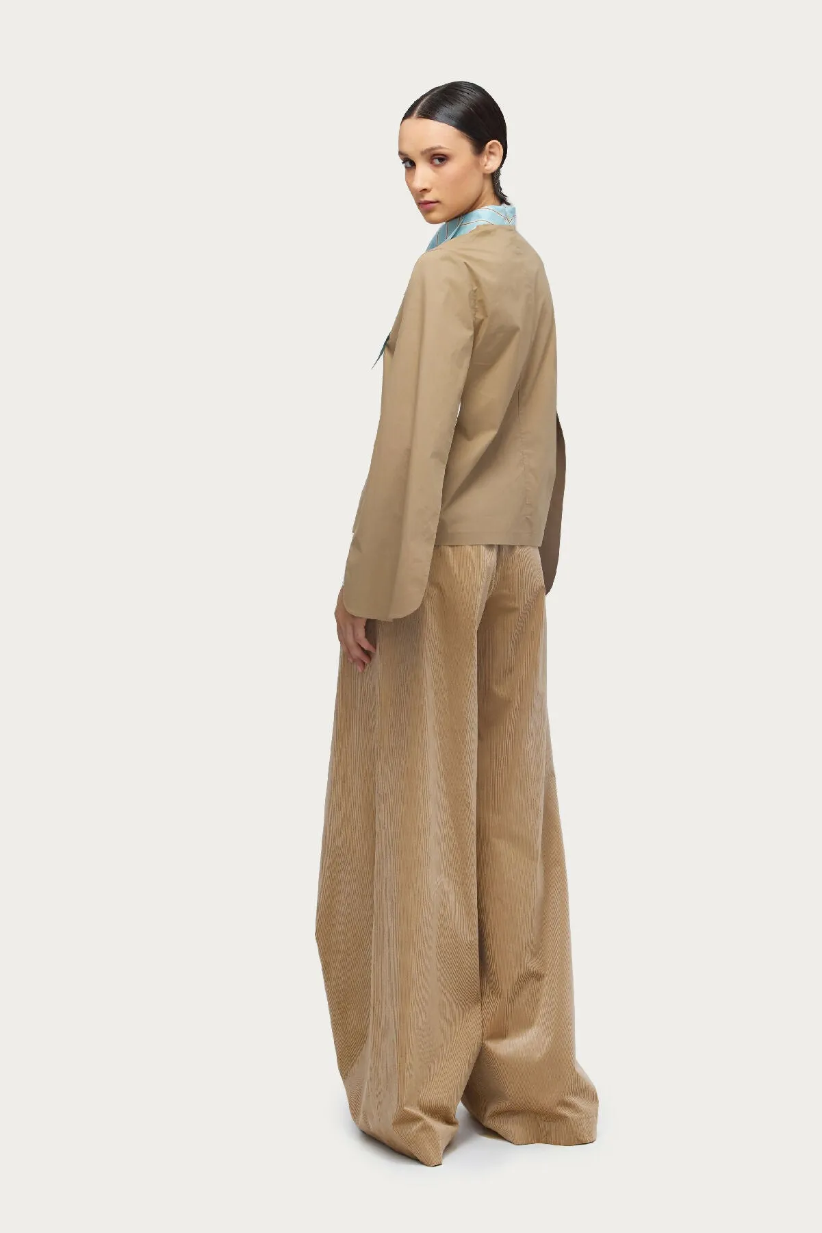 Designer Blouse With Contrast Sleeves Beige