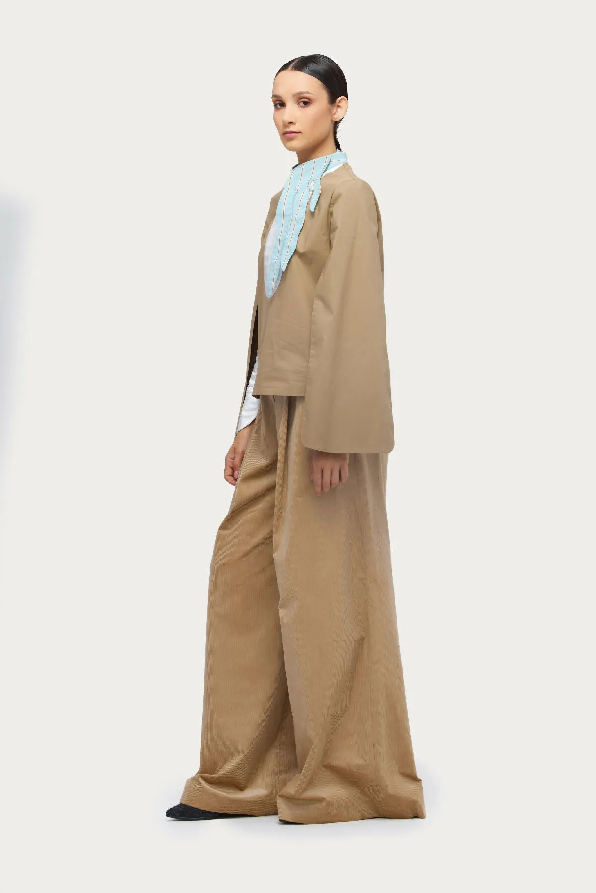 Designer Blouse With Contrast Sleeves Beige