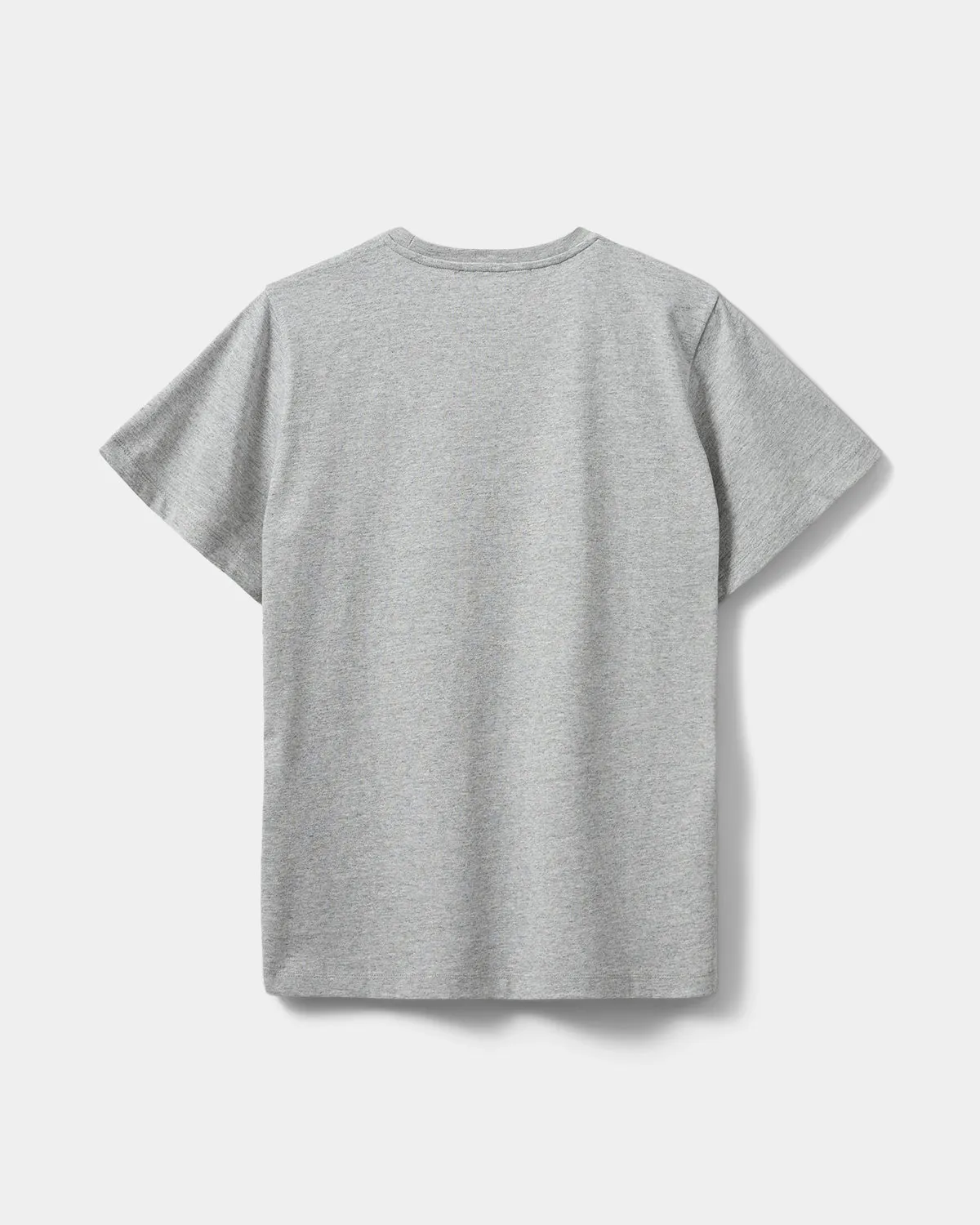 ZENASW T-SHIRT - Grey melange
